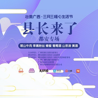 科技赋能，都安加油——用数字化点亮发展之路